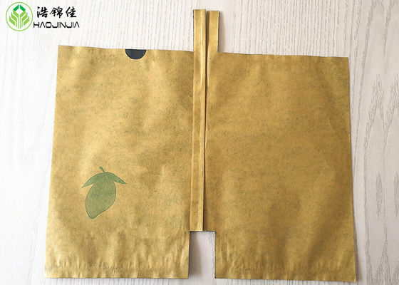 Two Layer Fresh Fruit Cover Bag Mango Protective Growing Wrapping Paper Bag
