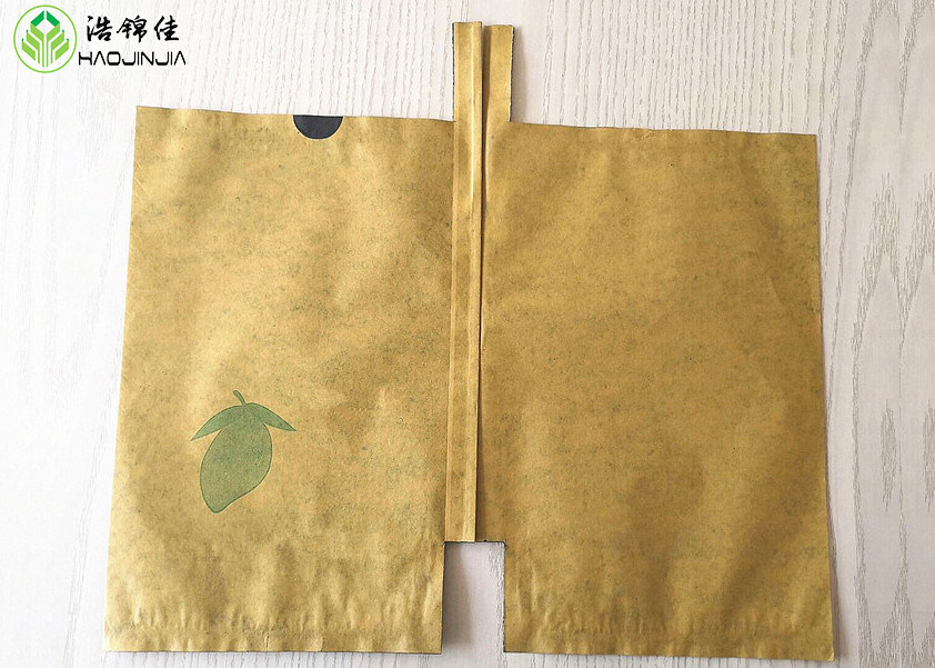 Two layer Fresh Fruit Cover Bag Mango Protective Growing Wrapping Paper Bag