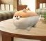 Auspicious beginning Stuffed Animal Shiba Inu Plush Toy Anime Corgi Kawaii Dog Soft Pillow Plush Toy Gifts for Boys Girl
