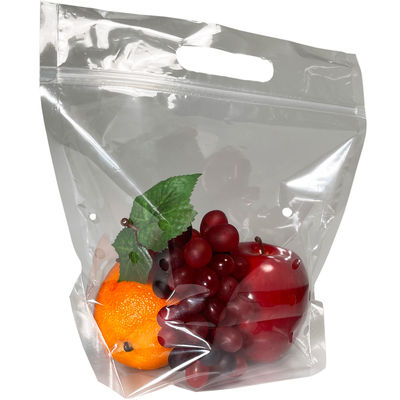 Zip Lock Plastic Printed Ziplockk Bags With Logo Fruit Stand Up Pouch With Handle